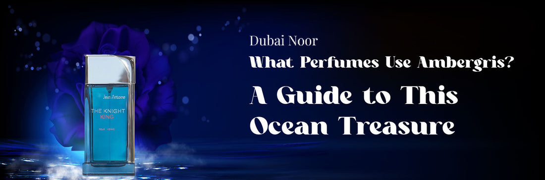 What Perfumes Use Ambergris? A Guide to This Ocean Treasure